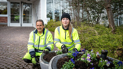 Martina Selinder, Mohamed Saidi från Green landscaping planterar vårblommor i Eslöv.