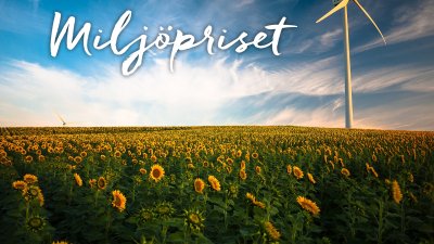 Fält med solrosor och rubriken Miljöpriset