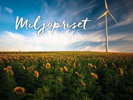 Fält med solrosor och rubriken Miljöpriset