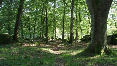 Natura 2000-området med den utslocknade vulkanen Jällabjär hotas inte längre av gruvdrift