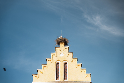 Storkar i Storkriket